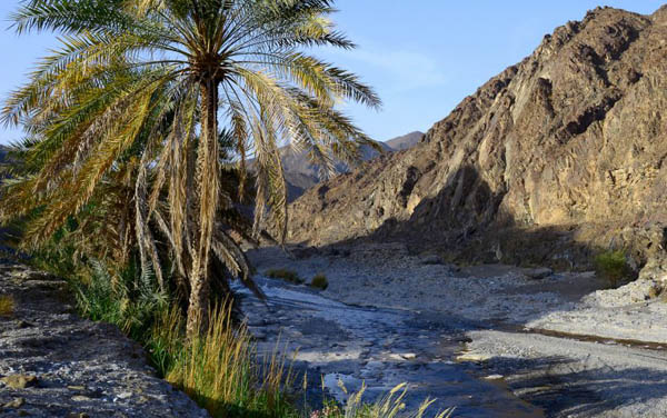 Wadi Abyad