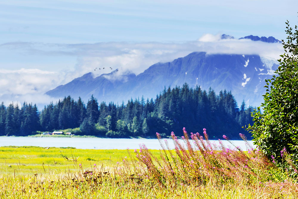 Alaska Tour Package