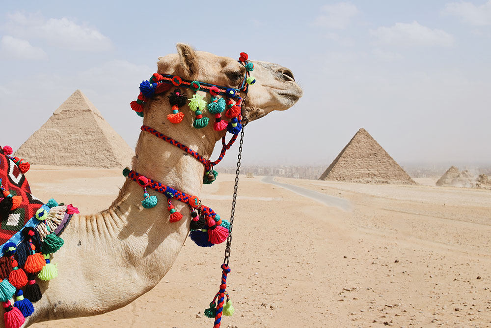 Taste of Egypt