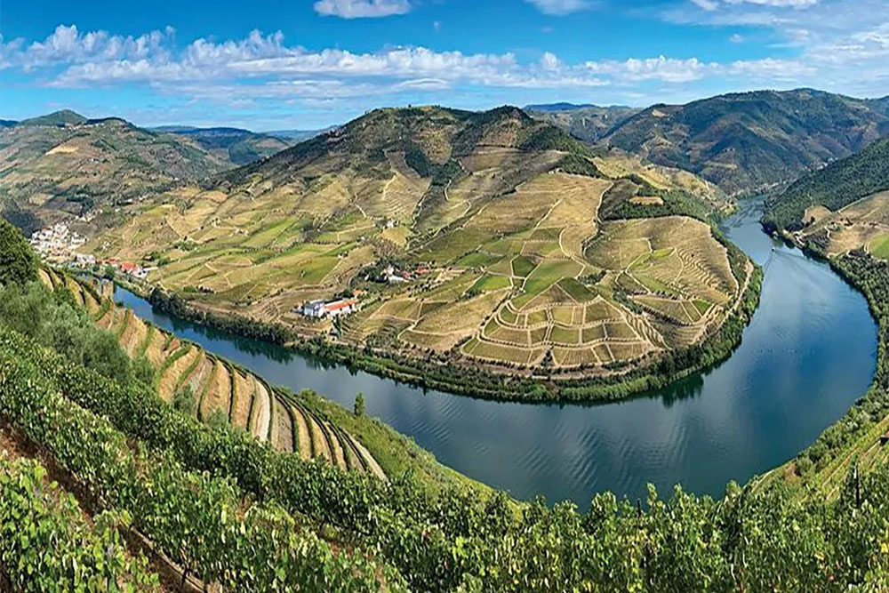 Vida Portugal: Vineyards & Villages Along the Douro