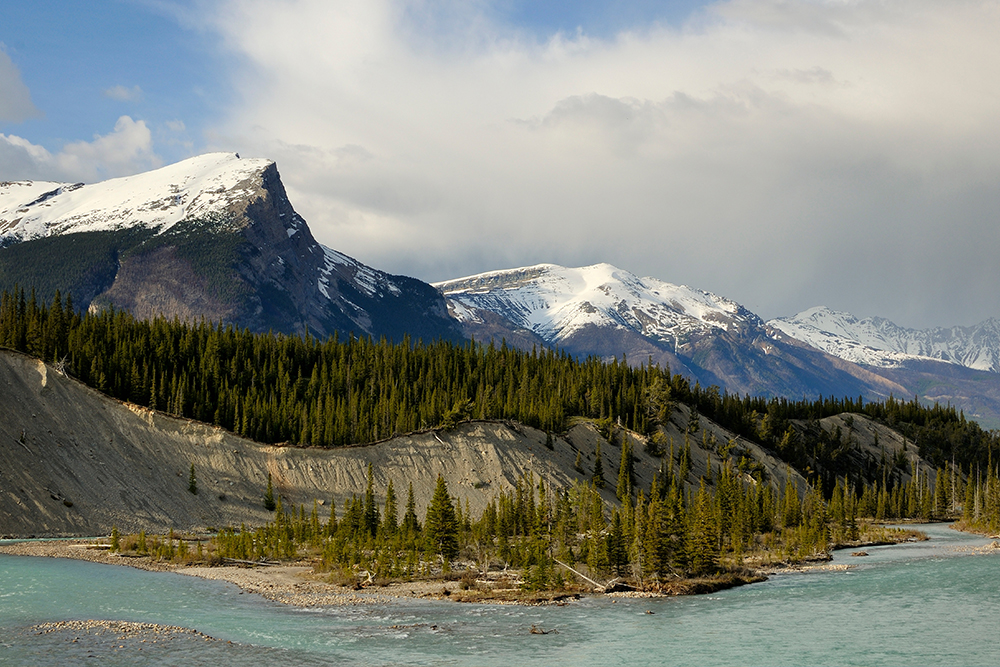 Canadian Delights